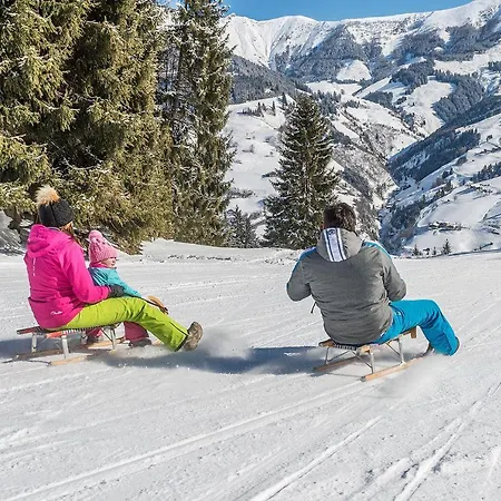 Kaiserer Отель типа 